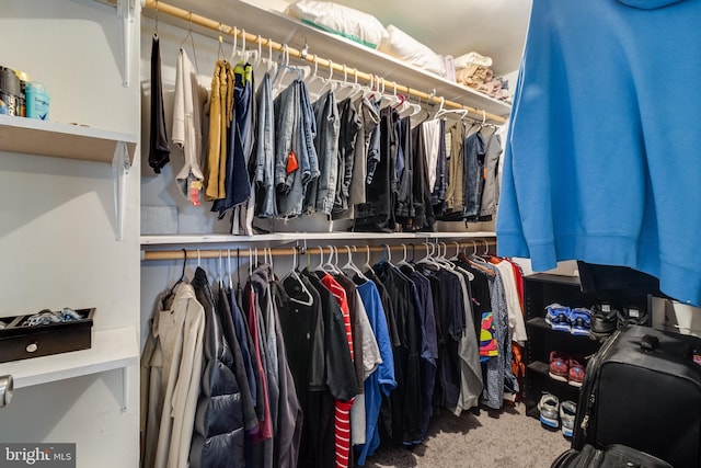 104 W Hawthorne Dr, La Plata, MD 20646 - spacious closet with carpet flooring