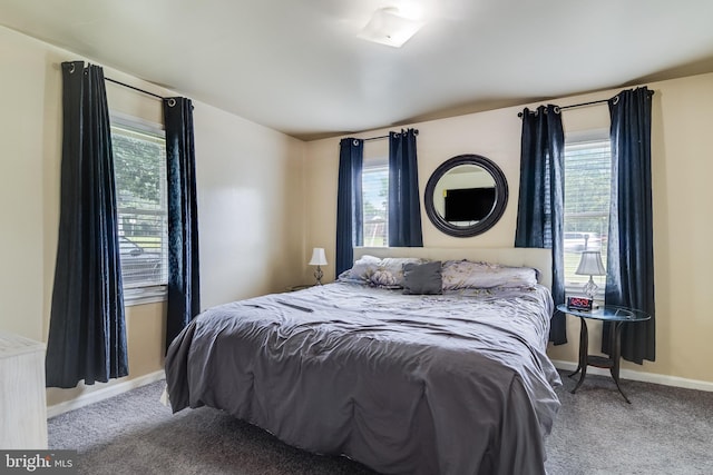 104 W Hawthorne Dr, La Plata, MD 20646 - bedroom featuring carpet floors and multiple windows