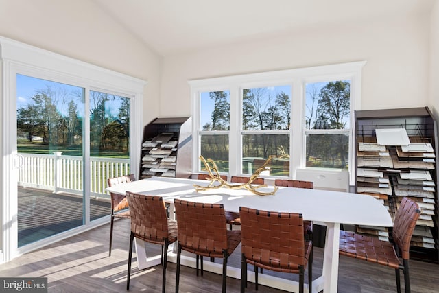 121 Lillian Ct, Fredericksburg, VA 22406 - dining area with plenty of natural light, vaulted ceiling, and wood finished floors