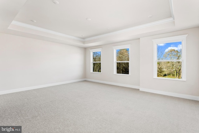 121 Lillian Ct, Fredericksburg, VA 22406 - unfurnished room featuring a tray ceiling, ornamental molding, light colored carpet, and recessed lighting