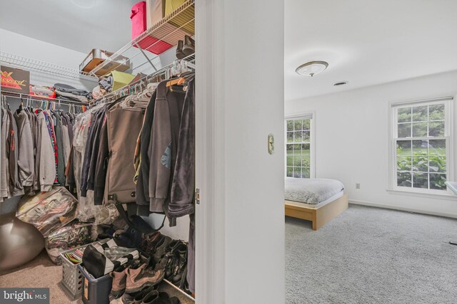 28 Abbey Ct, Carlisle, PA 17015 - spacious closet featuring carpet flooring