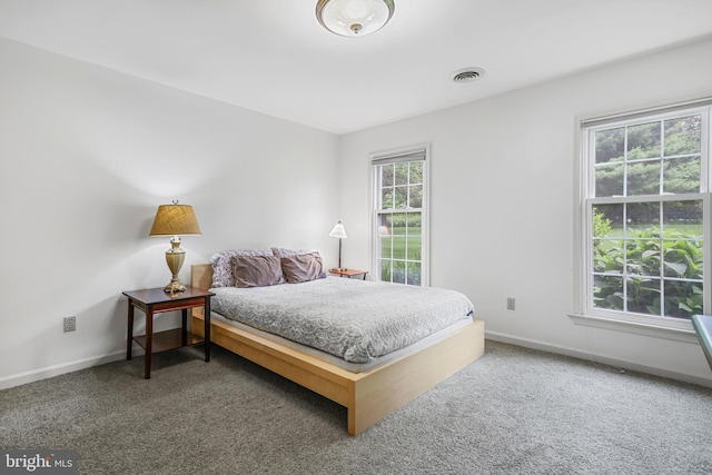 28 Abbey Ct, Carlisle, PA 17015 - carpeted bedroom with baseboards