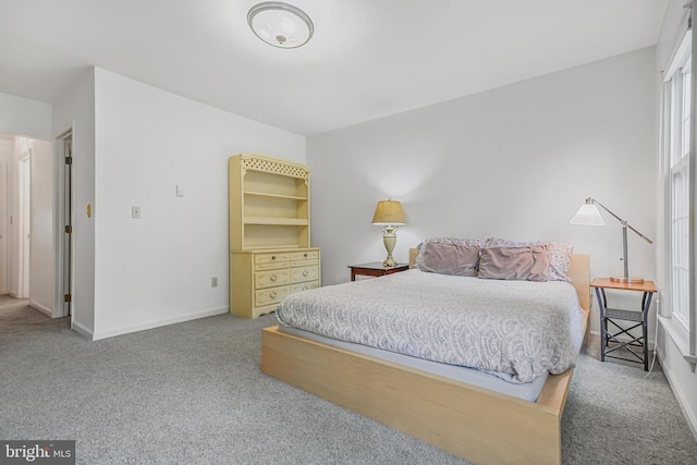 28 Abbey Ct, Carlisle, PA 17015 - carpeted bedroom featuring multiple windows