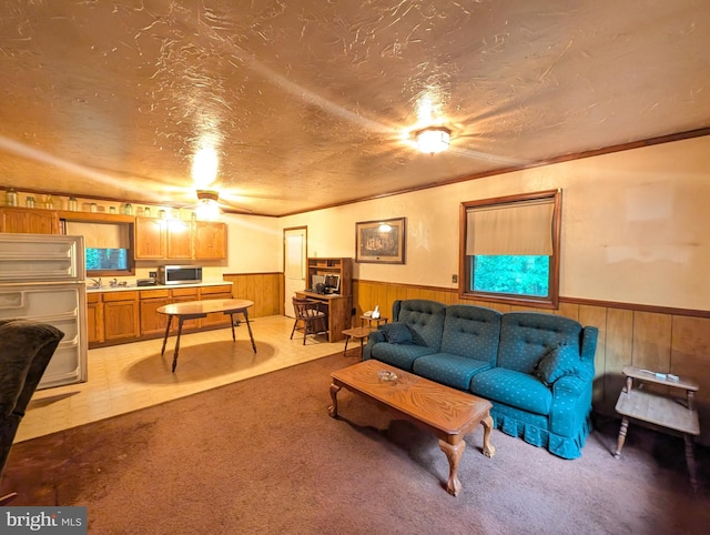 475 Company Farm Rd, Aspers, PA 17304 - carpeted living room with a wainscoted wall, a textured ceiling, wooden walls, and ornamental molding