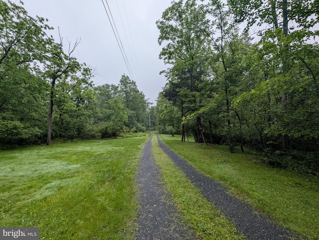 475 Company Farm Rd, Aspers, PA 17304 - view of road with a view of trees