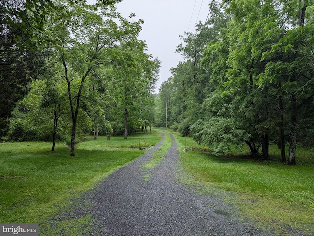475 Company Farm Rd, Aspers, PA 17304 - view of dirt / gravel road with a view of trees