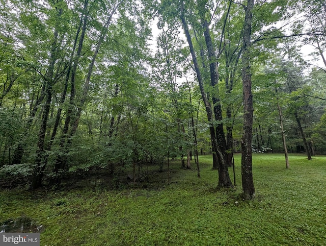 475 Company Farm Rd, Aspers, PA 17304 - view of wooded area