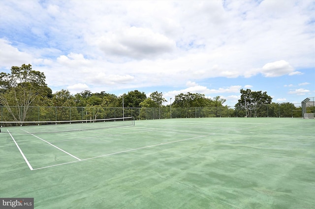301 N Beauregard St Unit 1507, Alexandria, VA 22312 - view of tennis court