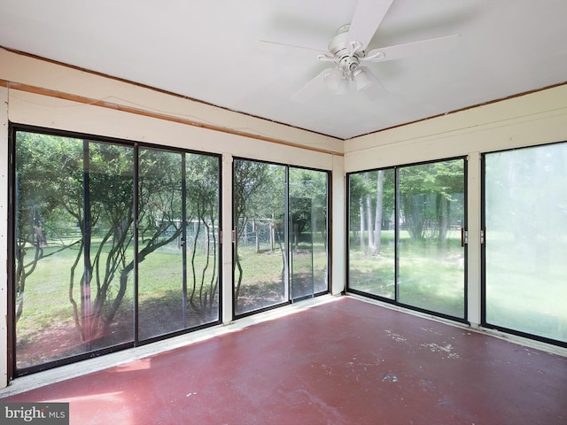 407 Owls Nest Rd, Wilmington, DE 19807 - unfurnished sunroom with plenty of natural light