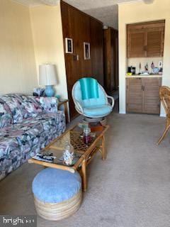 718 Mooring Rd Unit B203, Ocean City, MD 21842 - view of living area