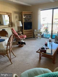 718 Mooring Rd Unit B203, Ocean City, MD 21842 - carpeted living room featuring plenty of natural light