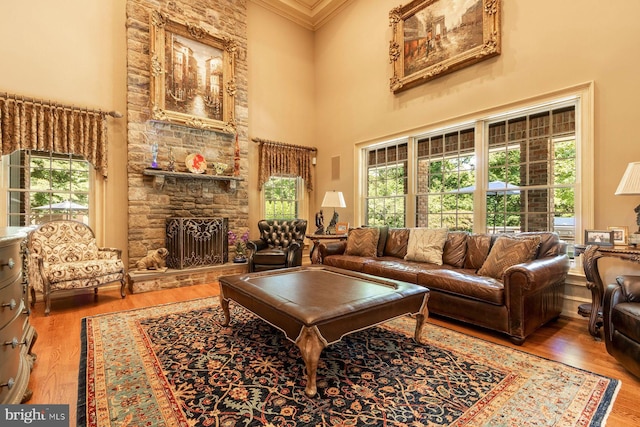 3500 Windy Bush Rd, New Hope, PA 18938 - living room featuring a towering ceiling, plenty of natural light, ornamental molding, wood finished floors, and a stone fireplace