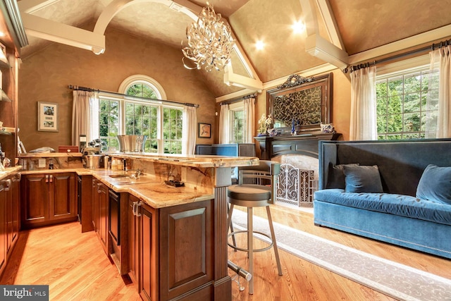 3500 Windy Bush Rd, New Hope, PA 18938 - kitchen featuring a kitchen bar, light wood-type flooring, plenty of natural light, high vaulted ceiling, and light stone countertops