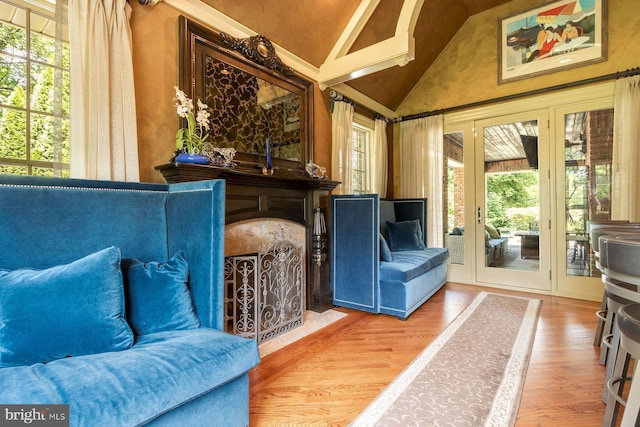 3500 Windy Bush Rd, New Hope, PA 18938 - living room featuring wood finished floors and high vaulted ceiling
