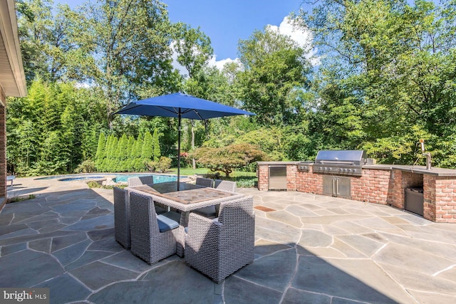 3500 Windy Bush Rd, New Hope, PA 18938 - view of patio featuring an outdoor kitchen, an outdoor pool, and outdoor dining space