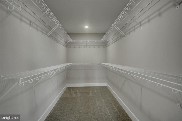 6 Suebecca Dr, Carlisle, PA 17013 - spacious closet featuring dark colored carpet