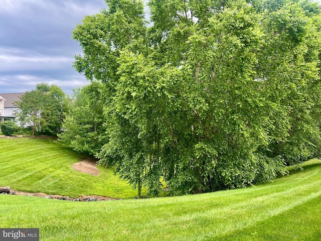 7 Covington Dr, Fredericksburg, VA 22406 - view of grassy yard