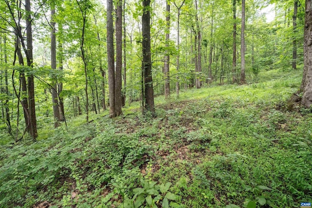 Hyland Ridge Dr Unit R2, Charlottesville, VA 22901