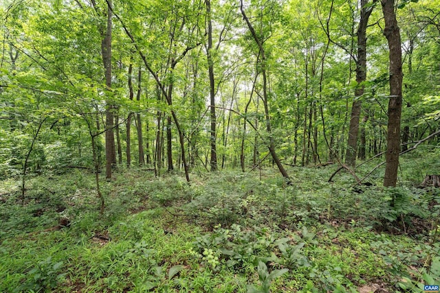 Hyland Ridge Dr Unit R2, Charlottesville, VA 22901