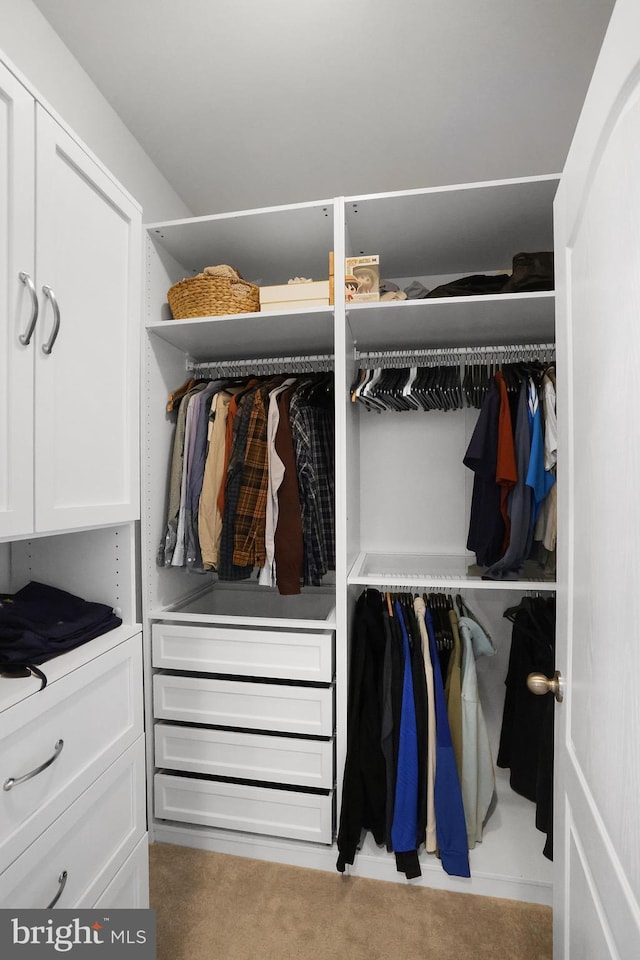 1025 Overlook Way, Laurel, MD 20707 - view of closet