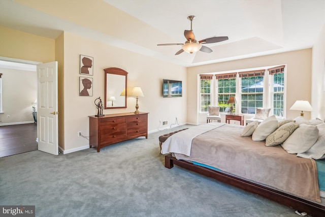 16916 Four Seasons Dr, Dumfries, VA 22025 - bedroom with carpet floors, a raised ceiling, and a ceiling fan