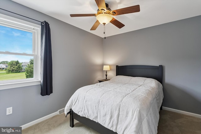 5790 Cedar Glen Dr, Narvon, PA 17555 - bedroom with carpet and a ceiling fan