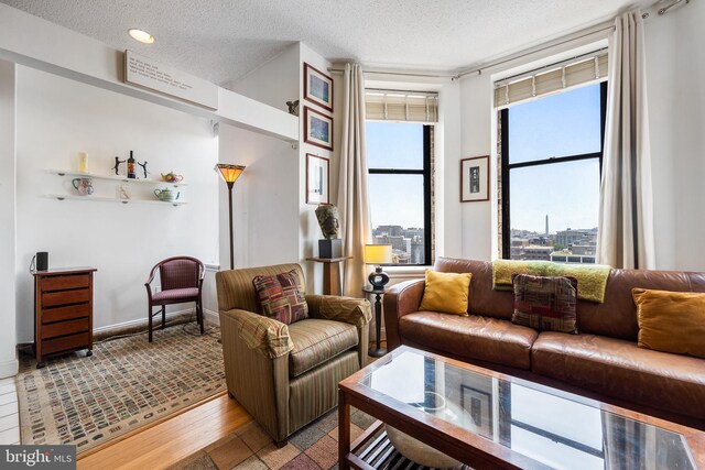 1615 Q St NW Unit 1001, Washington, DC 20009 - living room with wood finished floors and a textured ceiling