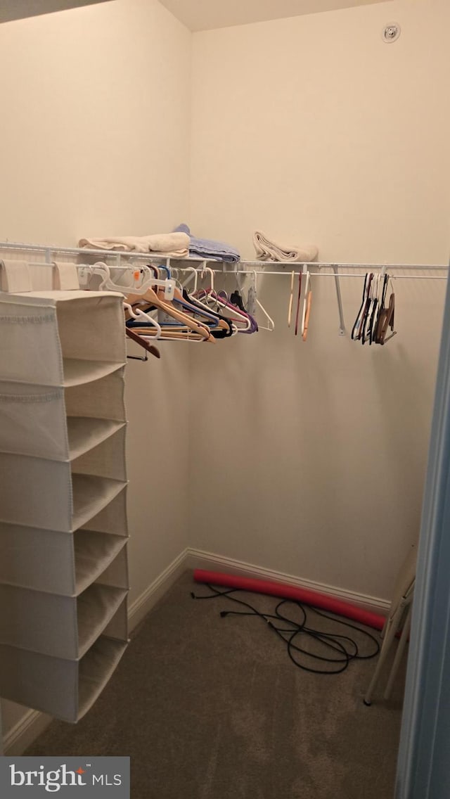 1000 Fountainview Cir Unit 1406, Newark, DE 19713 - walk in closet featuring carpet