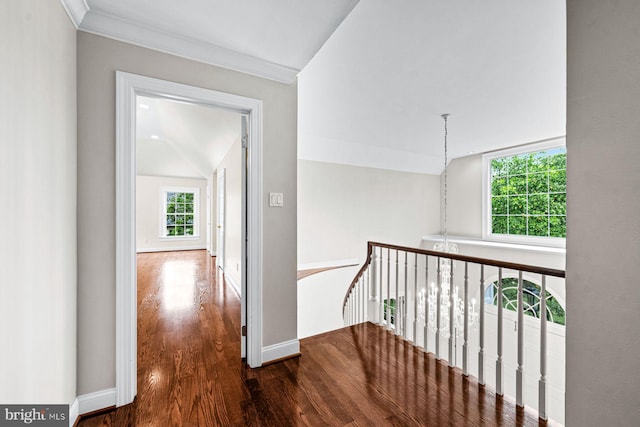 501 Van Lears Run, Villanova, PA 19085 - corridor with dark wood-style floors, an upstairs landing, and crown molding