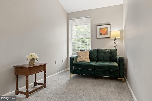65 Petersburg Ln, Duncannon, PA 17020 - sitting room featuring carpet floors and lofted ceiling