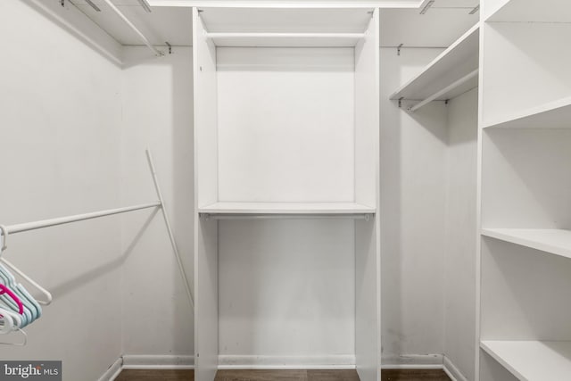 20103 Halethorpe Ln Unit 130, Germantown, MD 20876 - spacious closet with wood finished floors