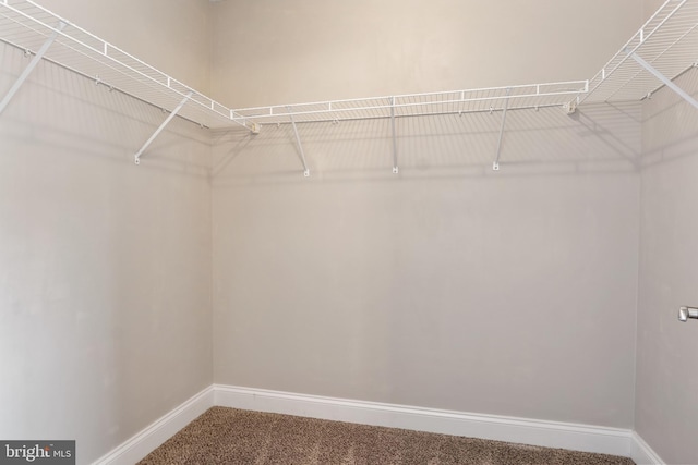 355 Old Stone Way, York, PA 17406 - spacious closet featuring carpet floors