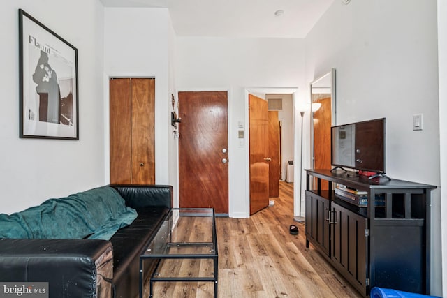 1917 Spring Garden St, Philadelphia, PA 19130 - living room featuring light wood-style flooring