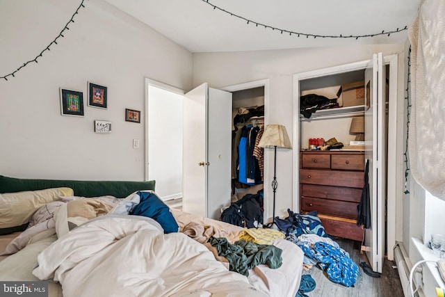 1917 Spring Garden St, Philadelphia, PA 19130 - bedroom with wood finished floors, a closet, and a spacious closet