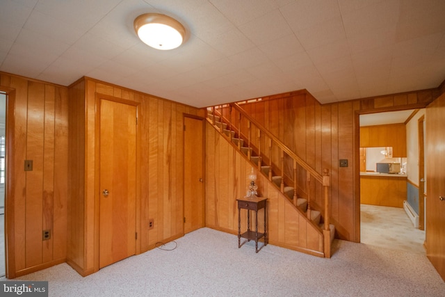 24981 Delmar Rd, Mardela Springs, MD 21837 - stairs with wooden walls, carpet floors, and a baseboard radiator