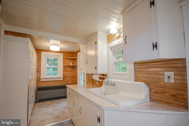 24981 Delmar Rd, Mardela Springs, MD 21837 - laundry area with radiator and plenty of natural light