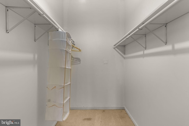 2109 Sturbridge Cmn, Holland, PA 18966 - walk in closet featuring light colored carpet