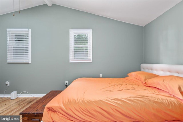 132 Erie Trl, Winchester, VA 22602 - bedroom with wood finished floors and baseboards