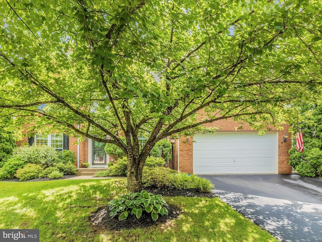 9045 Clendenin Way, Frederick, MD 21704 - obstructed view of property featuring brick siding, driveway, an attached garage, and a front yard