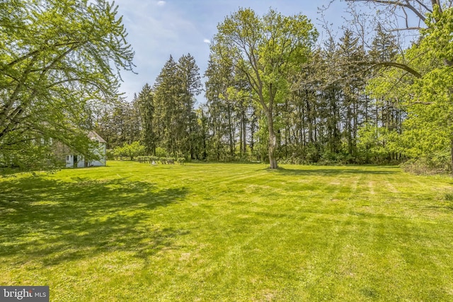 2622 Butler Pike, Plymouth Meeting, PA 19462 - view of green lawn