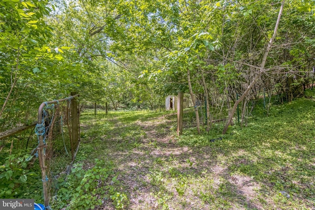2622 Butler Pike, Plymouth Meeting, PA 19462 - view of yard