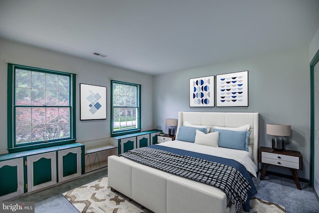 9708 S Park Cir, Fairfax Station, VA 22039 - view of carpeted bedroom