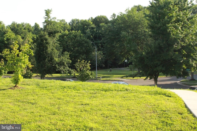 16332 Brooktrail Ct, Upper Marlboro, MD 20772 - view of community