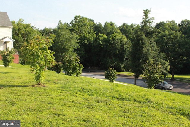 16332 Brooktrail Ct, Upper Marlboro, MD 20772 - view of green lawn