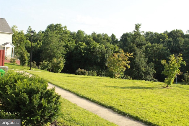 16332 Brooktrail Ct, Upper Marlboro, MD 20772 - view of property's community featuring a lawn