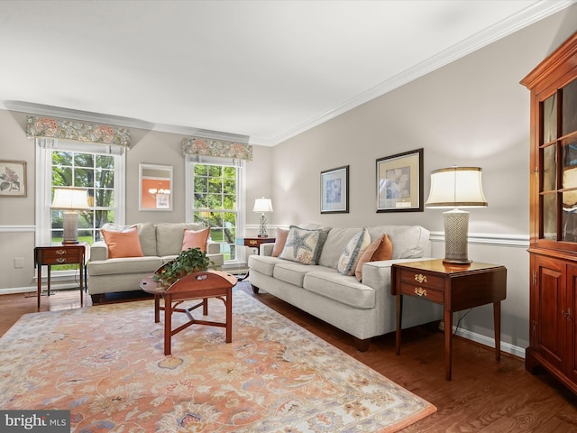 10267 Cedar Ridge Dr, Manassas, VA 20110 - living room with ornamental molding and wood finished floors