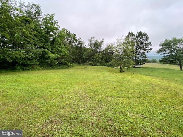 390 Summer Hill Rd, Schuylkill Haven, PA 17972 - view of green lawn