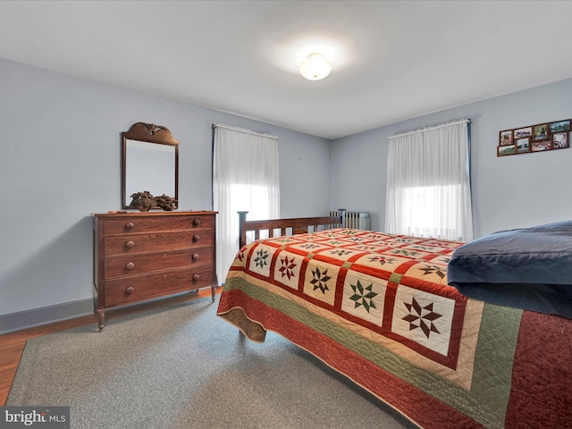 1989 Fair Rd, Schuylkill Haven, PA 17972 - bedroom featuring multiple windows and radiator heating unit