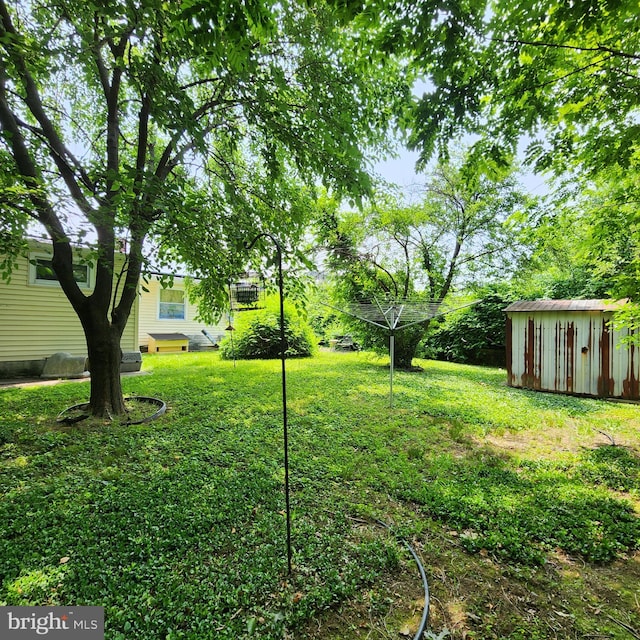 5508 Mayview Ave, Baltimore, MD 21206 - view of green lawn with a storage shed