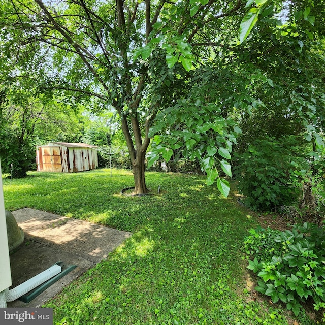 5508 Mayview Ave, Baltimore, MD 21206 - view of green lawn with a storage unit